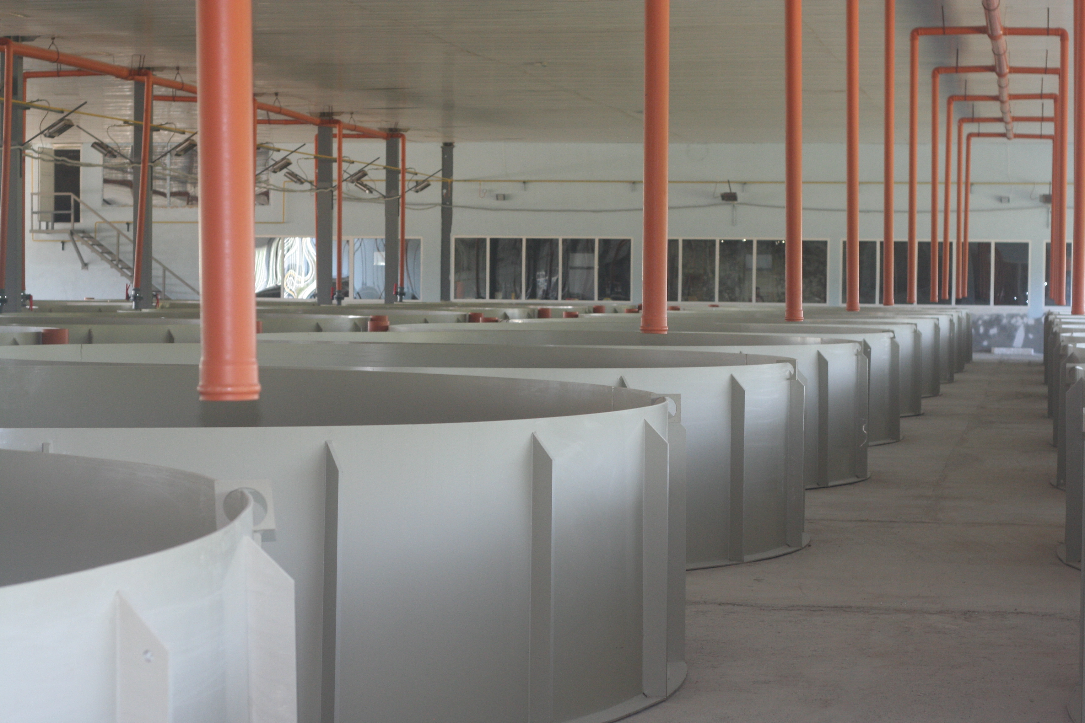 Бассейн для выращивания рыбы