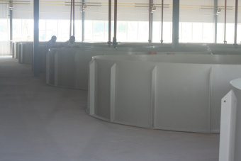 Бассейн для выращивания рыбы